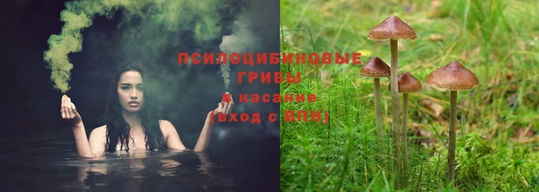 ГАЛЛЮЦИНОГЕННЫЕ ГРИБЫ Богородск