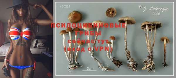 ГАЛЛЮЦИНОГЕННЫЕ ГРИБЫ Богородск