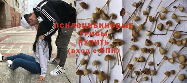 jwh Богородицк