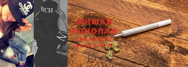 шишки Богданович