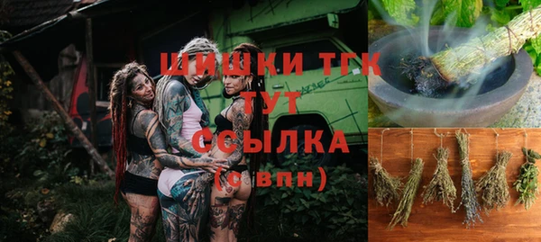 шишки Богданович