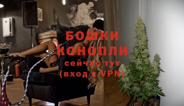 шишки Богданович
